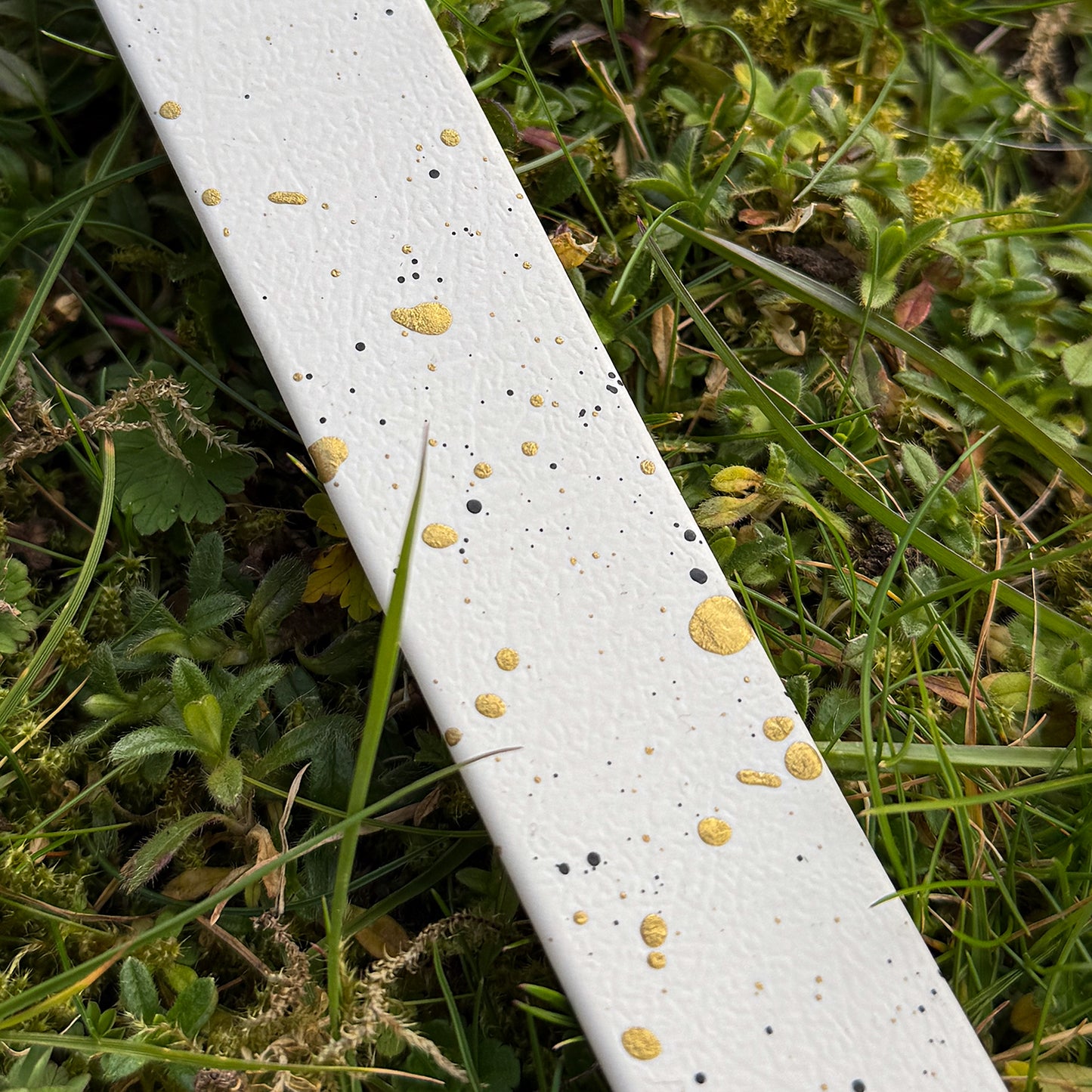 Limited edition Spring Frost Dog Collar β¨π