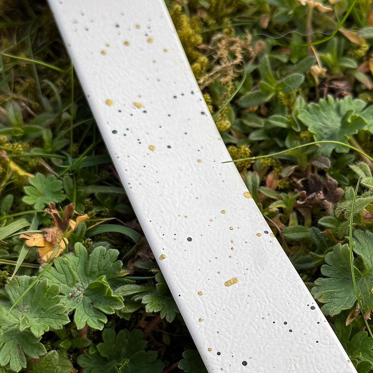 Limited edition Spring Frost Dog Collar β¨π