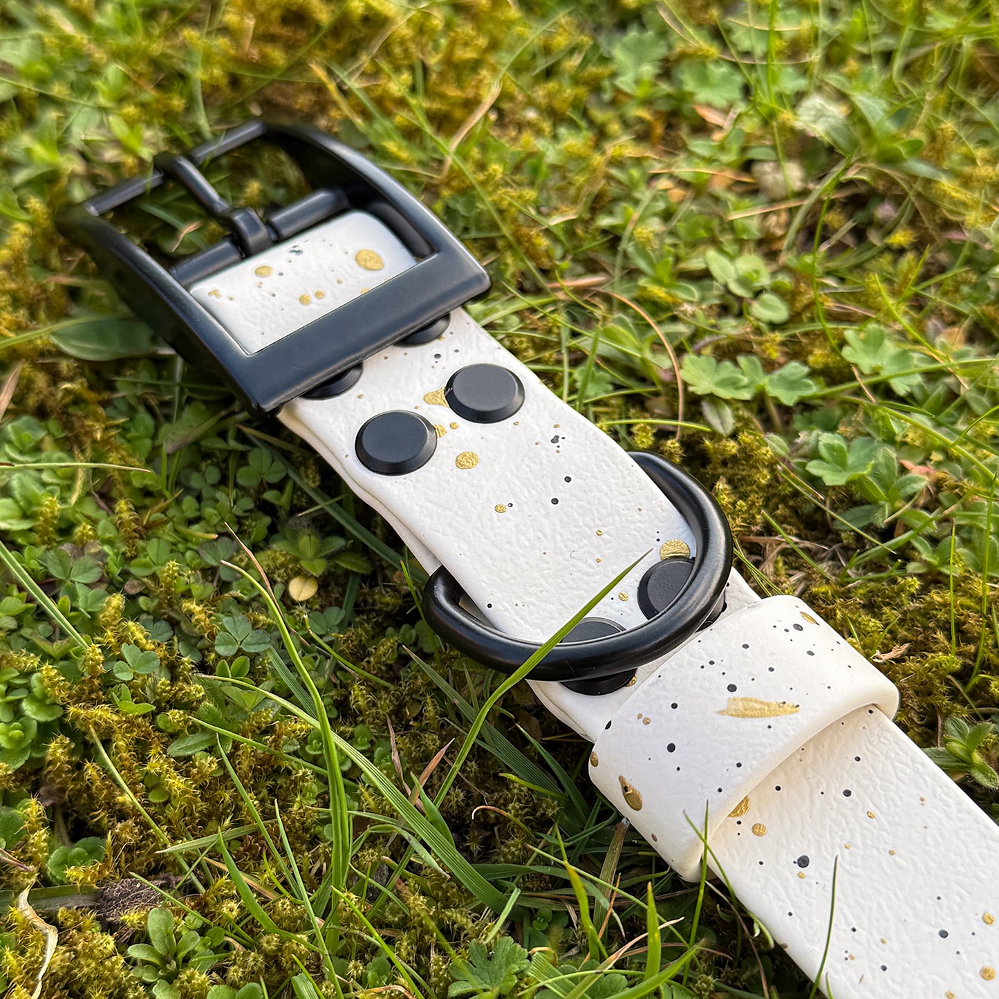 Limited edition Spring Frost Dog Collar β¨π