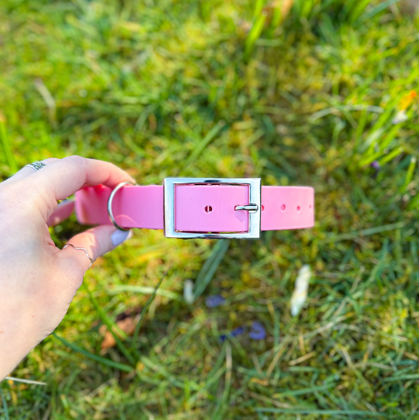 Barbie Pink Waterproof Dog Collar ππΈ