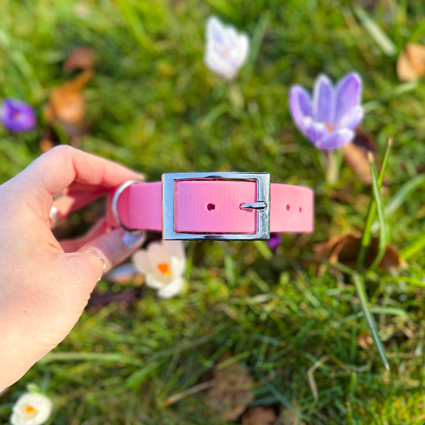 Barbie Pink Waterproof Dog Collar ππΈ