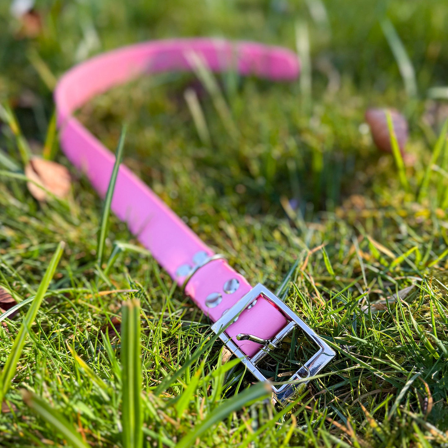 Barbie Pink Waterproof Dog Collar ππΈ