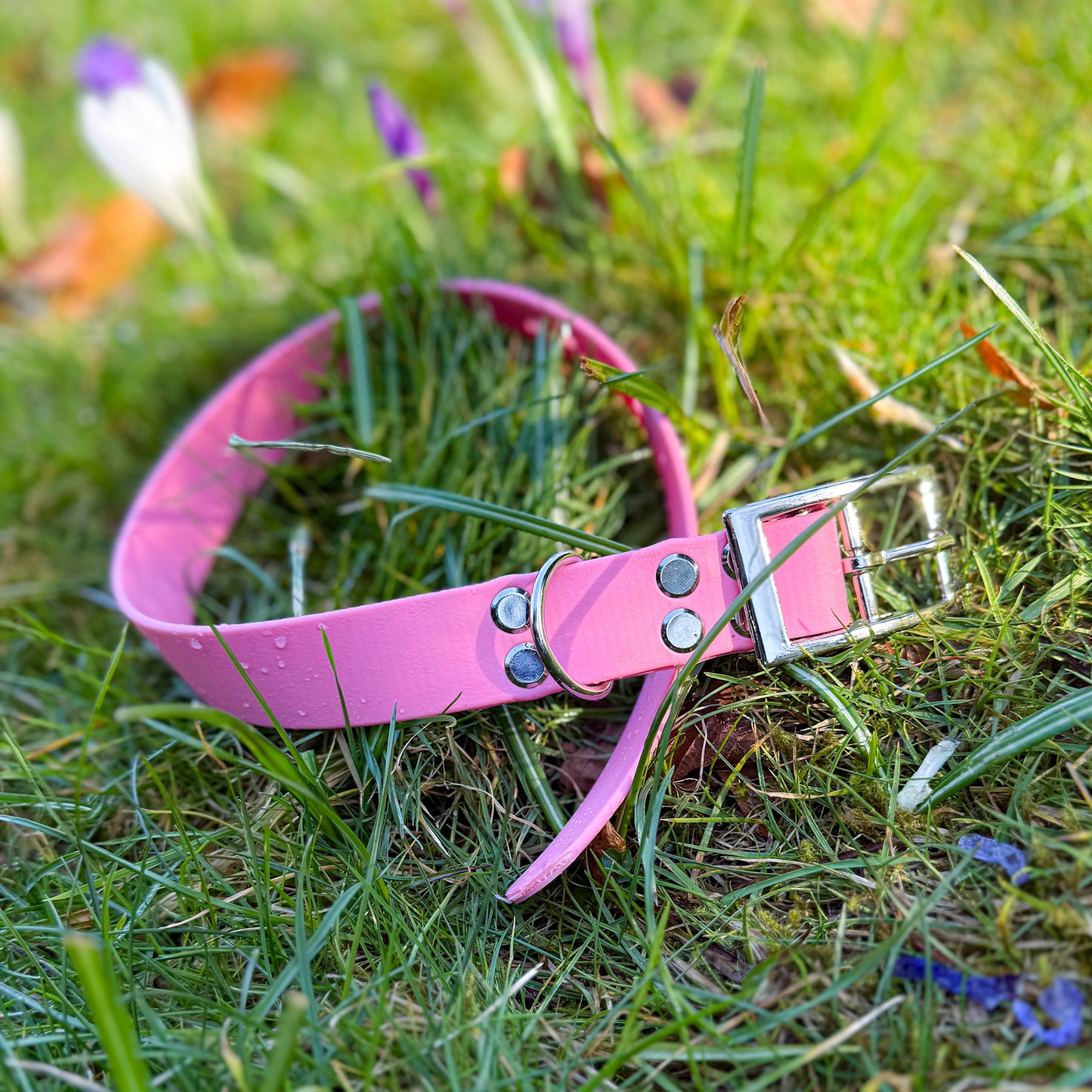 Barbie Pink Waterproof Dog Collar ππΈ