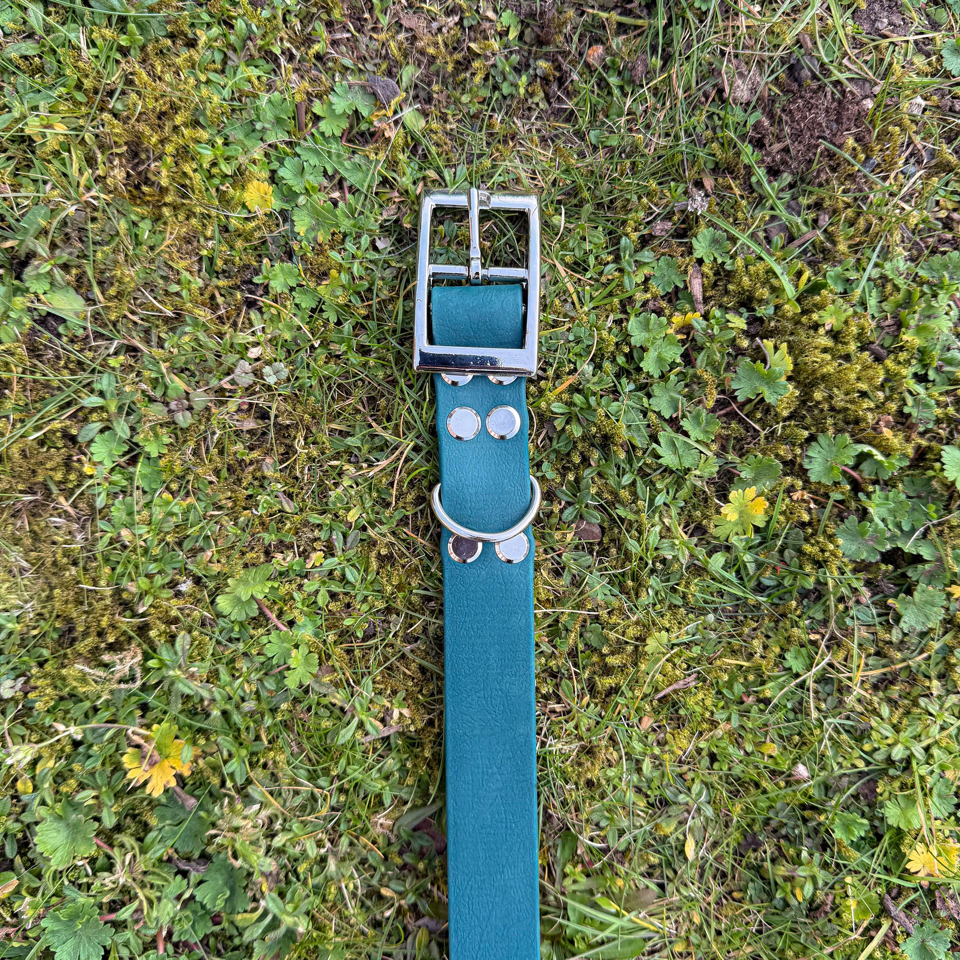 Forest green waterproof BioThane dog collar, with silver hardware flat