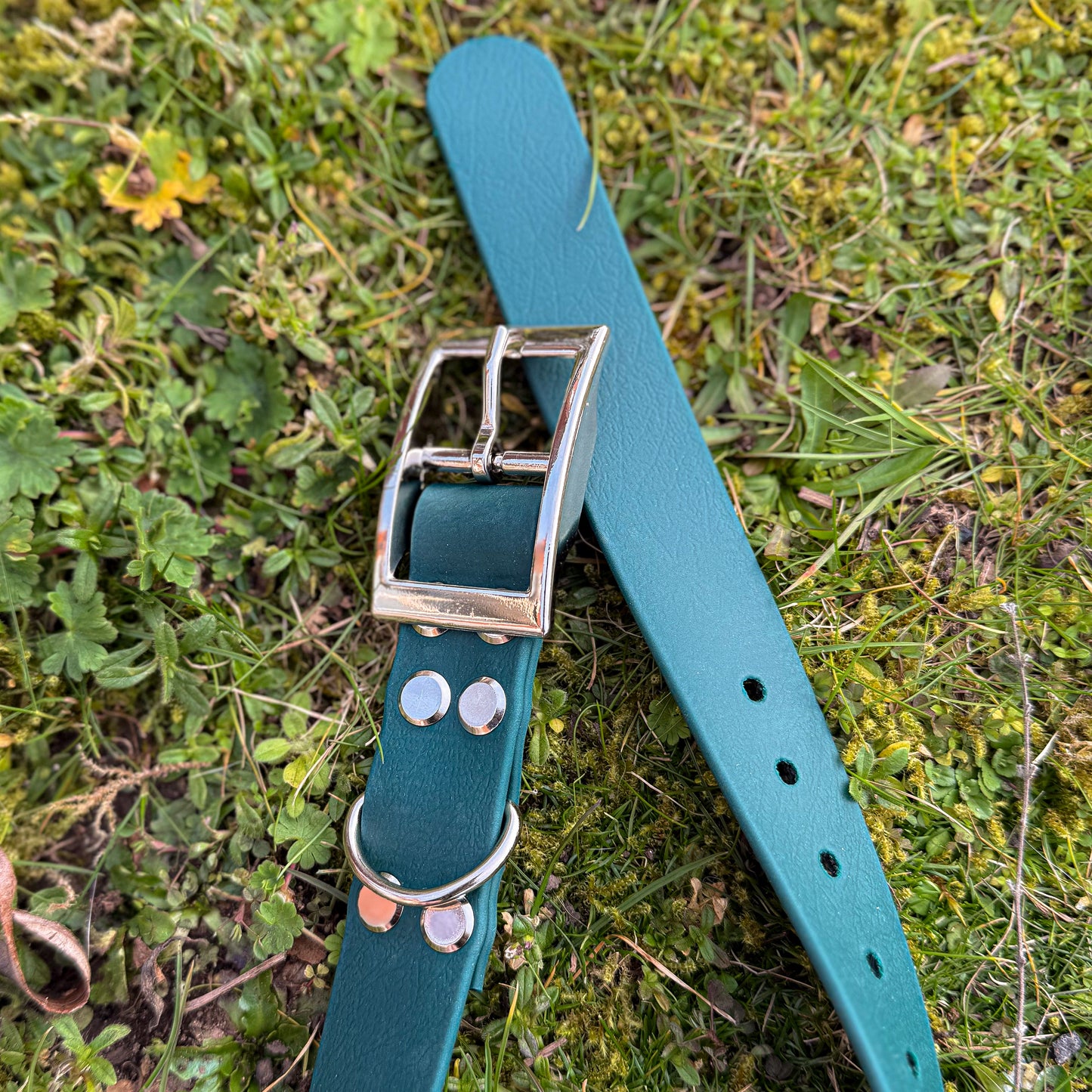 Forest green waterproof BioThane dog collar, with silver hardware close-up