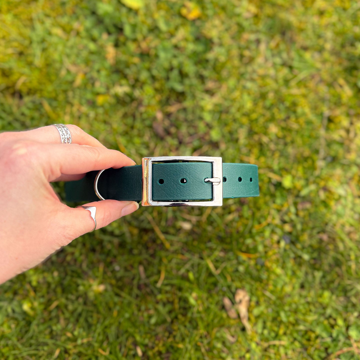 Forest green waterproof BioThane dog collar, with silver hardware