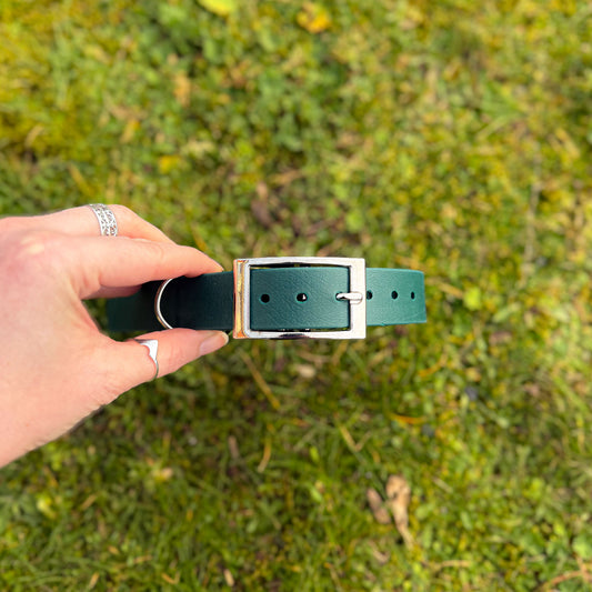 Forest green waterproof BioThane dog collar, with silver hardware