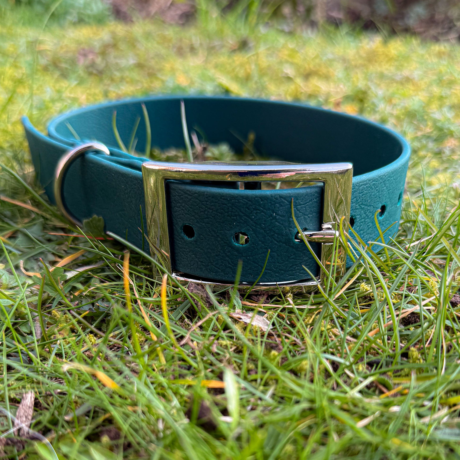 Close-up Forest green waterproof BioThane dog collar, with silver hardware