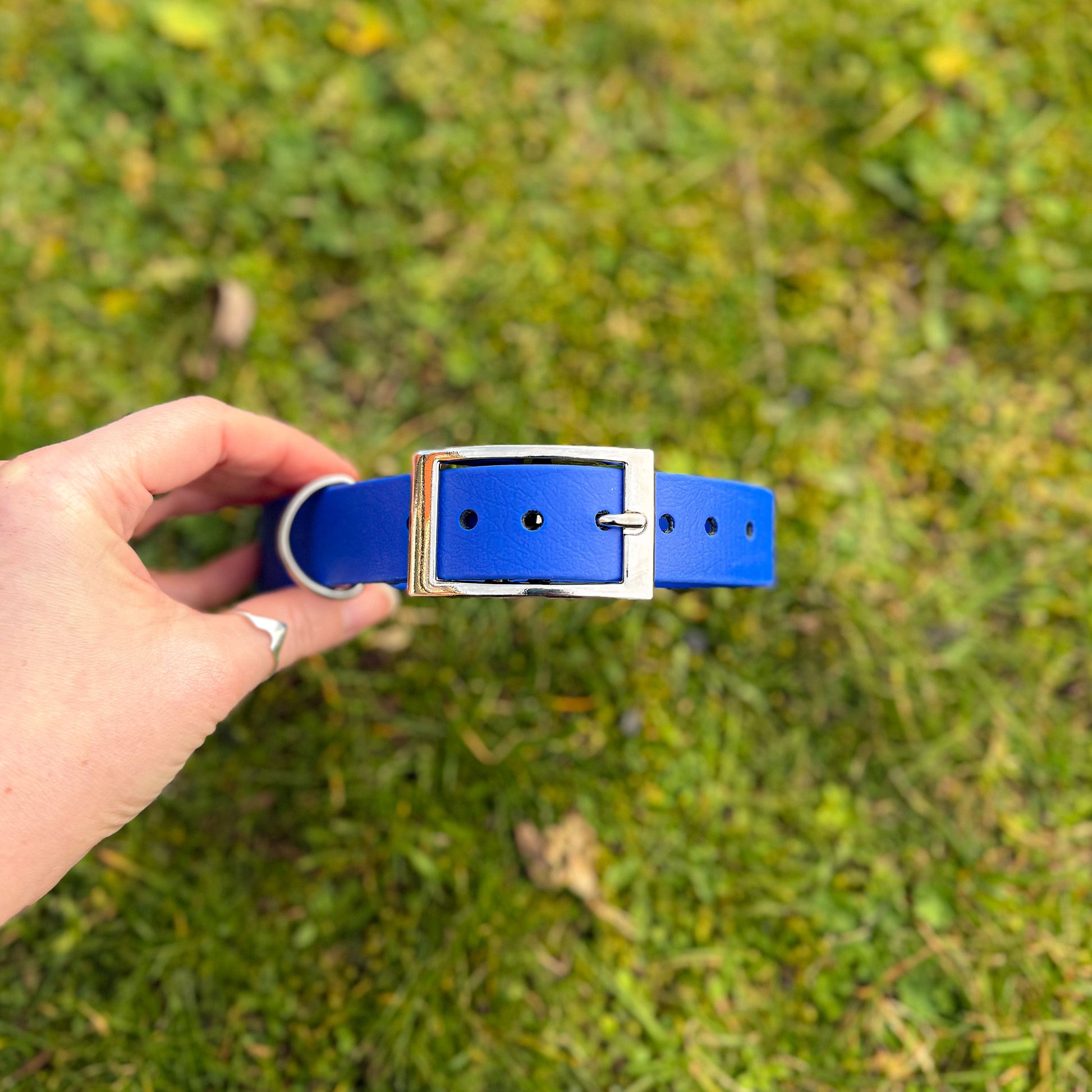 Ocean Blue waterproof BioThane dog collar, with silver hardware