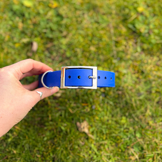 Ocean Blue waterproof BioThane dog collar, with silver hardware