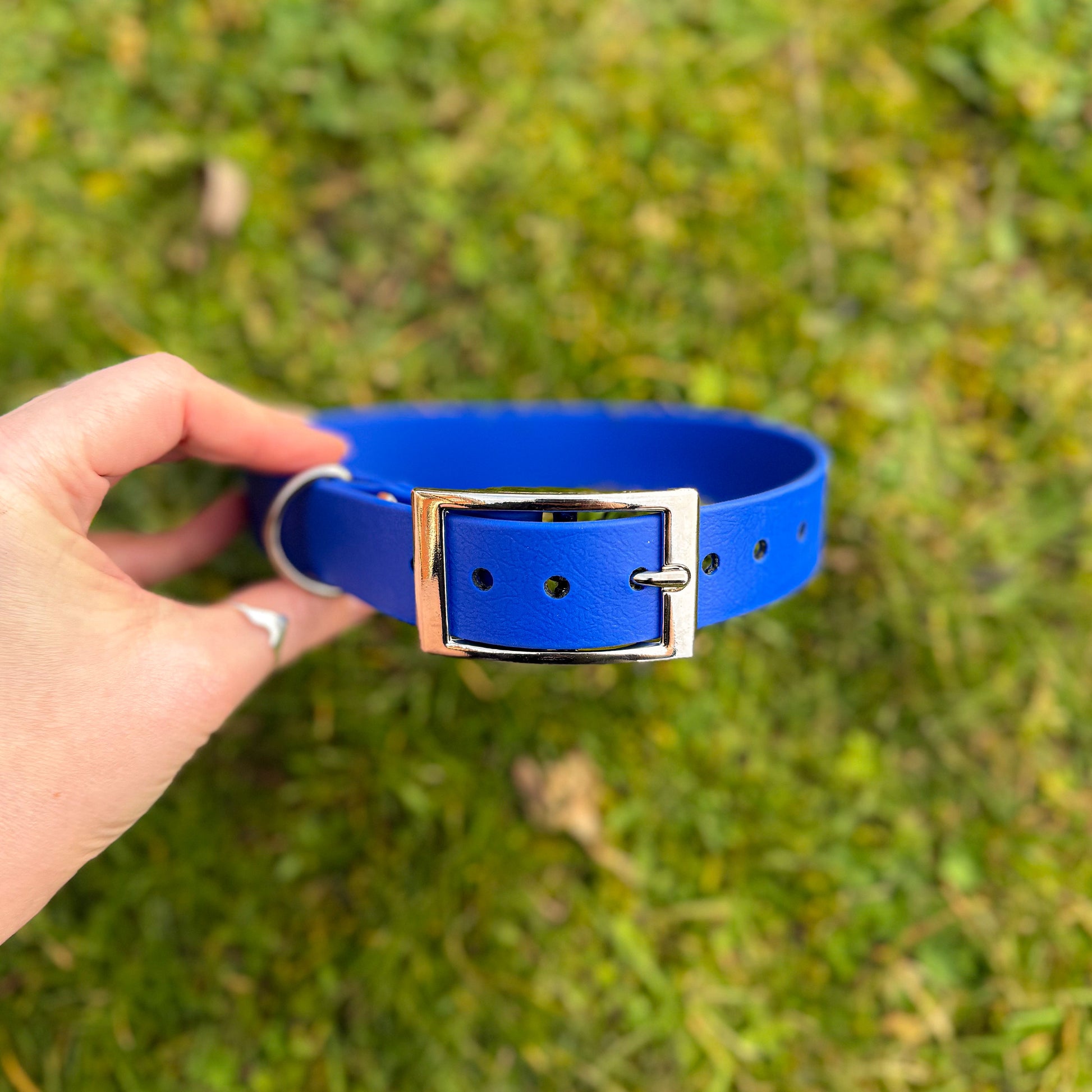 Ocean Blue waterproof BioThane dog collar, with silver hardware in hand