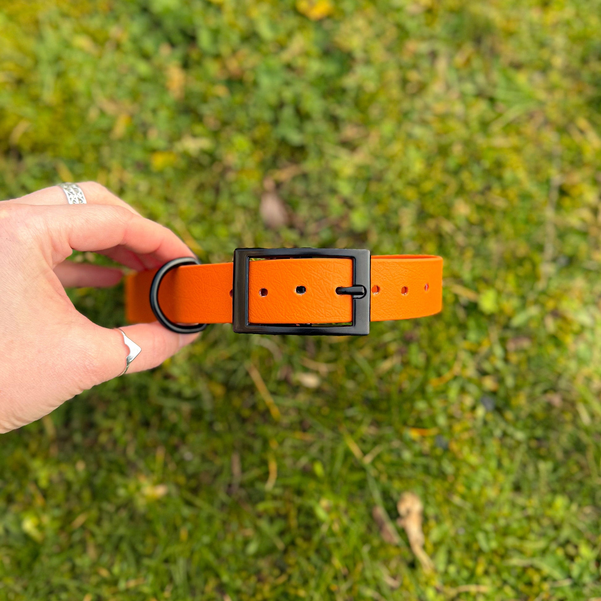 Fire Orange waterproof BioThane dog collar, with black hardware