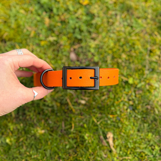 Fire Orange waterproof BioThane dog collar, with black hardware