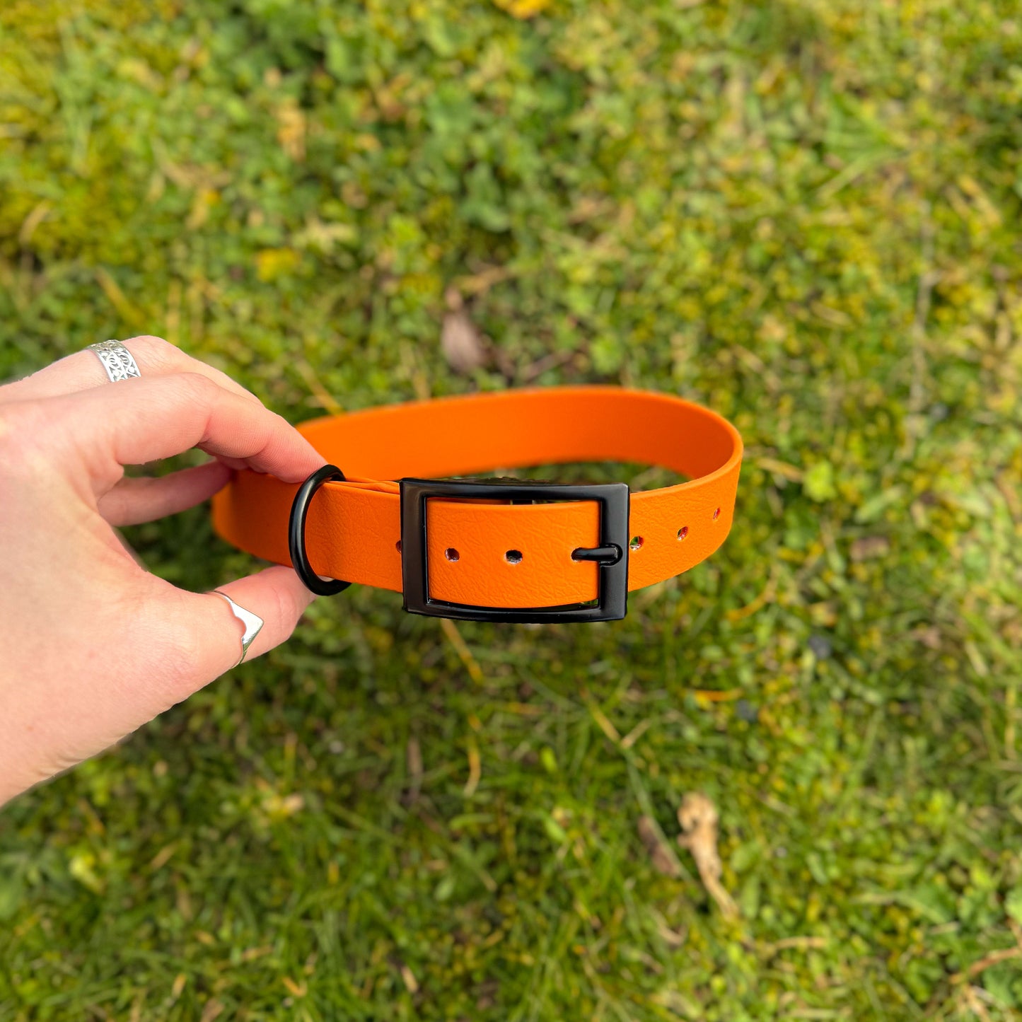 Fire Orange waterproof BioThane dog collar, with black hardware in hand