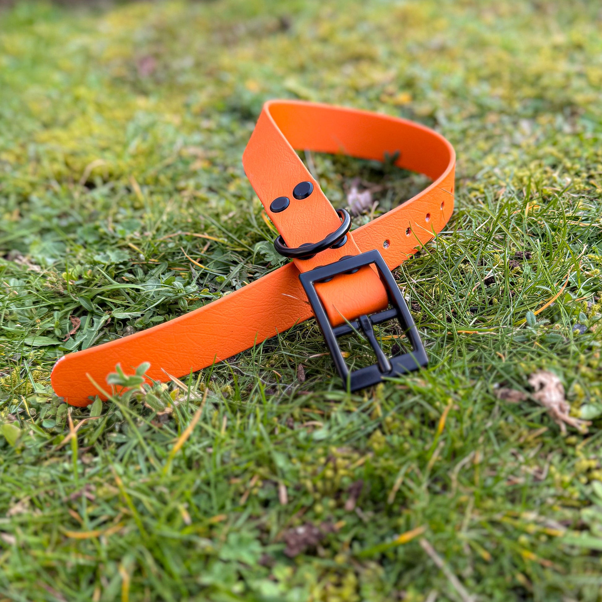 Close up of Fire Orange waterproof BioThane dog collar, with black hardware