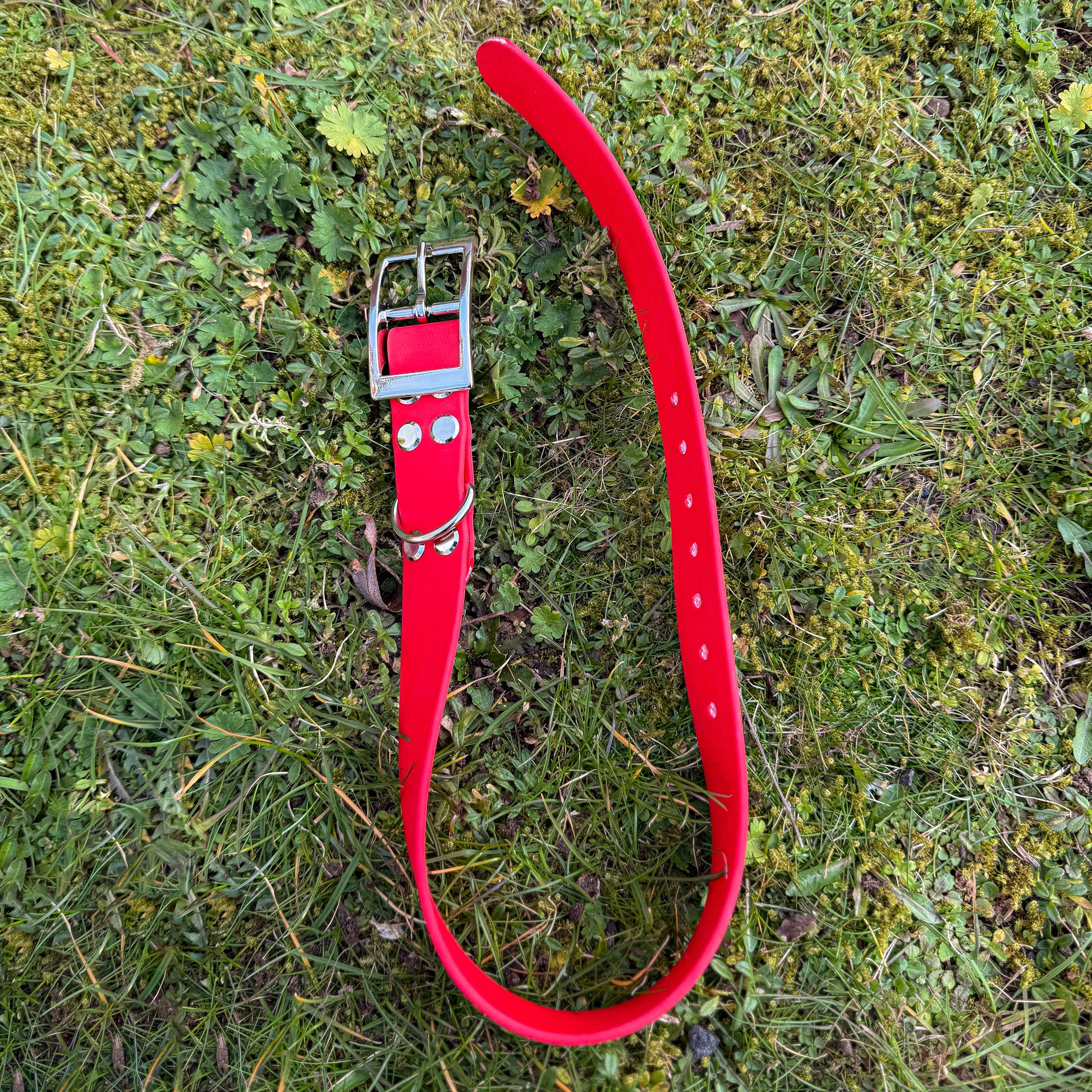 Red waterproof BioThane dog collar, with silver hardware