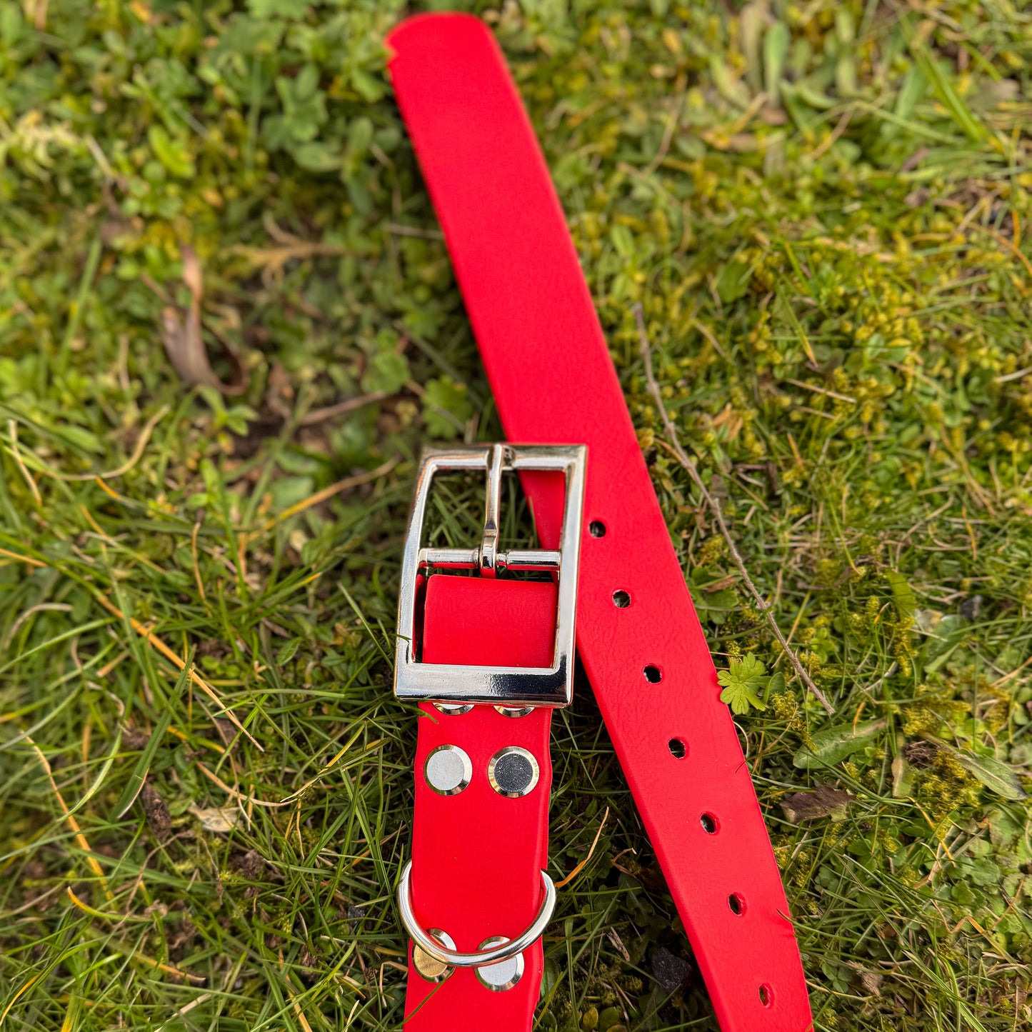 Close-up of red waterproof BioThane dog collar, with silver hardware