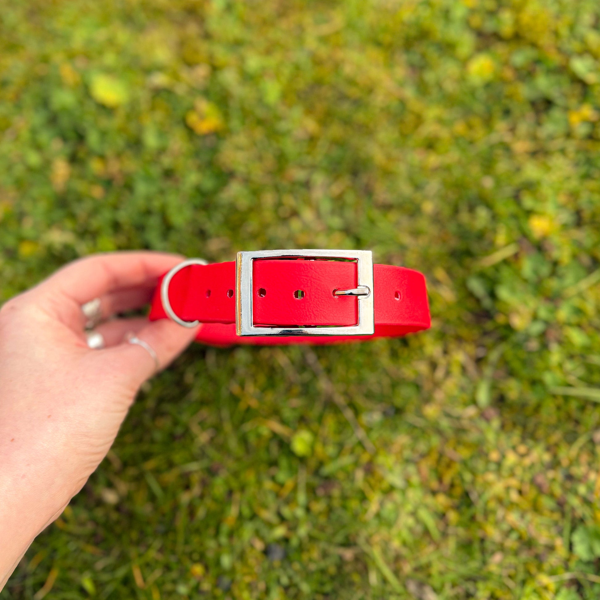 red waterproof BioThane dog collar, front facing