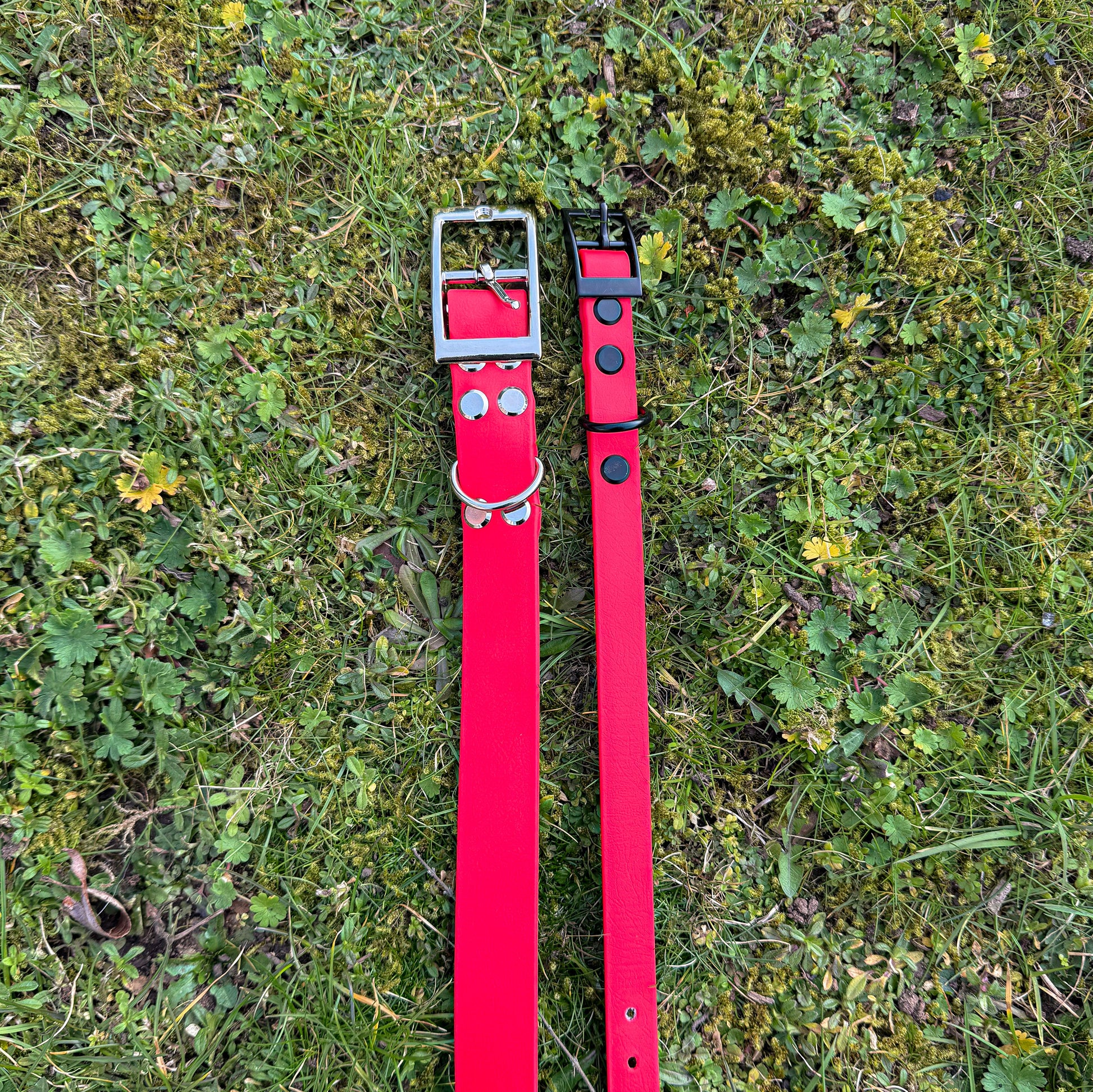 Red waterproof BioThane dog collar, with silver hardware and black hardware