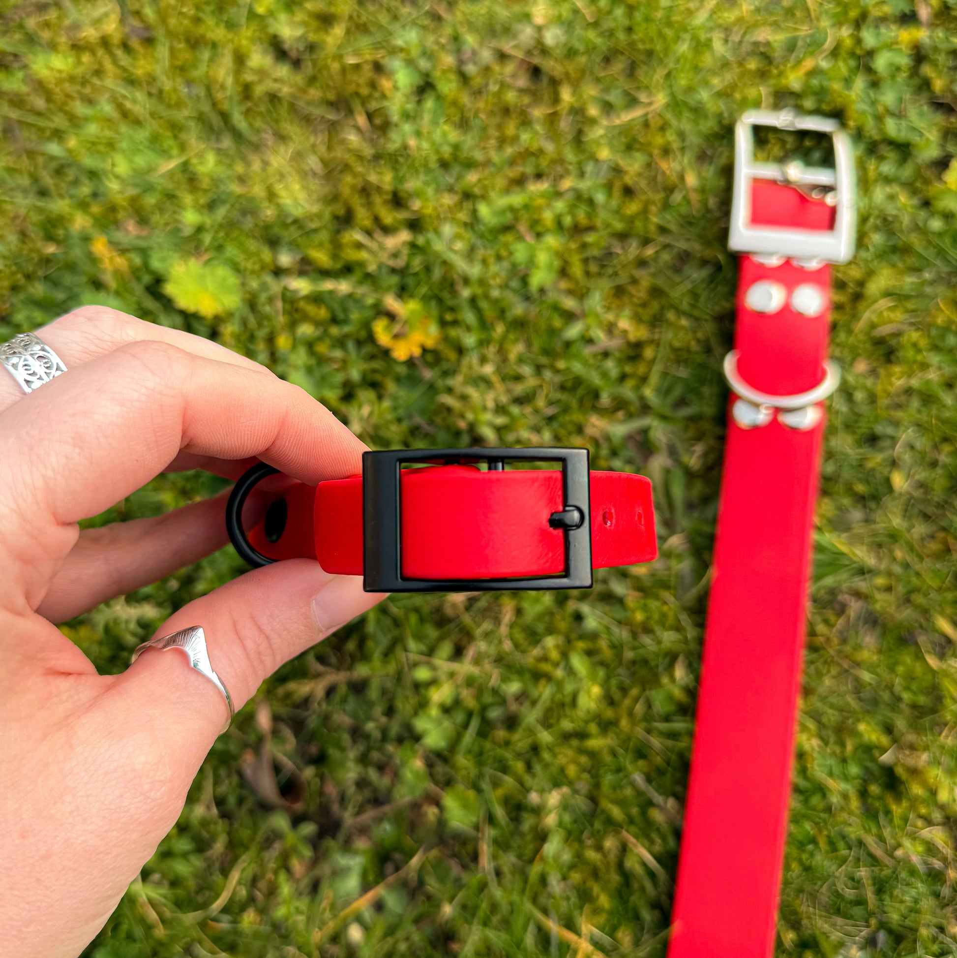 Red waterproof BioThane dog collar, in little and large sizes