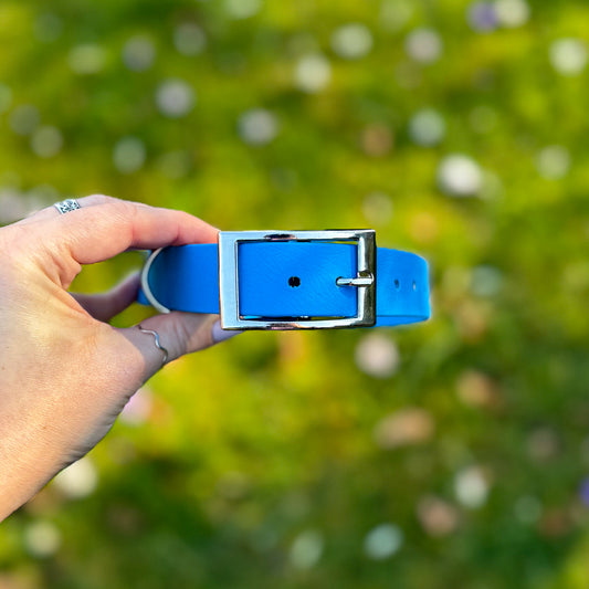 Bold Blue Waterproof Dog Collar 🦈🩵