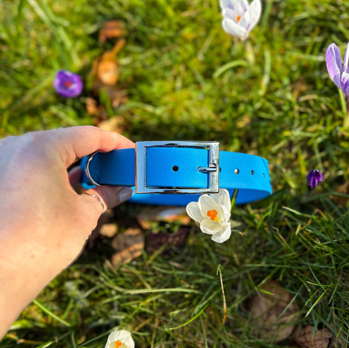 Bold Blue Waterproof Dog Collar š¦š©µ