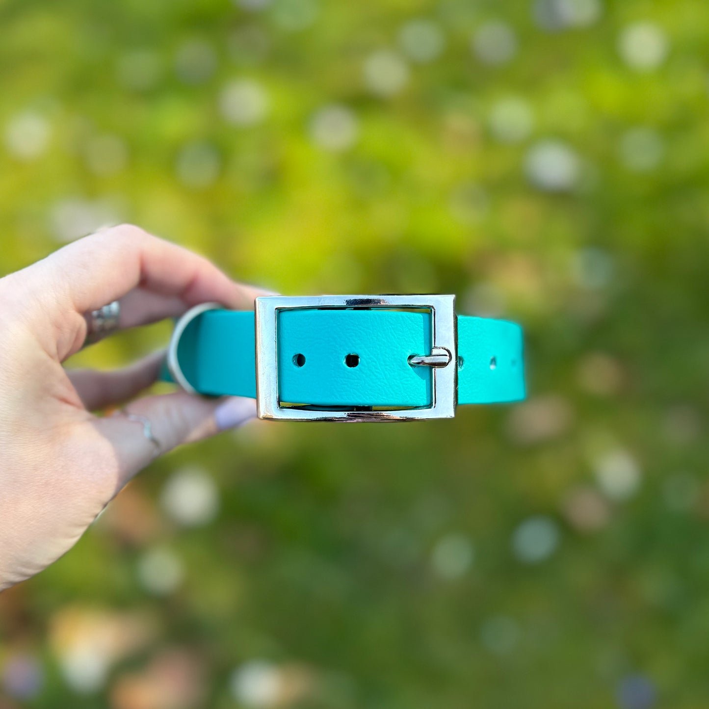 Teal Waterproof Dog Collar š©µš¢