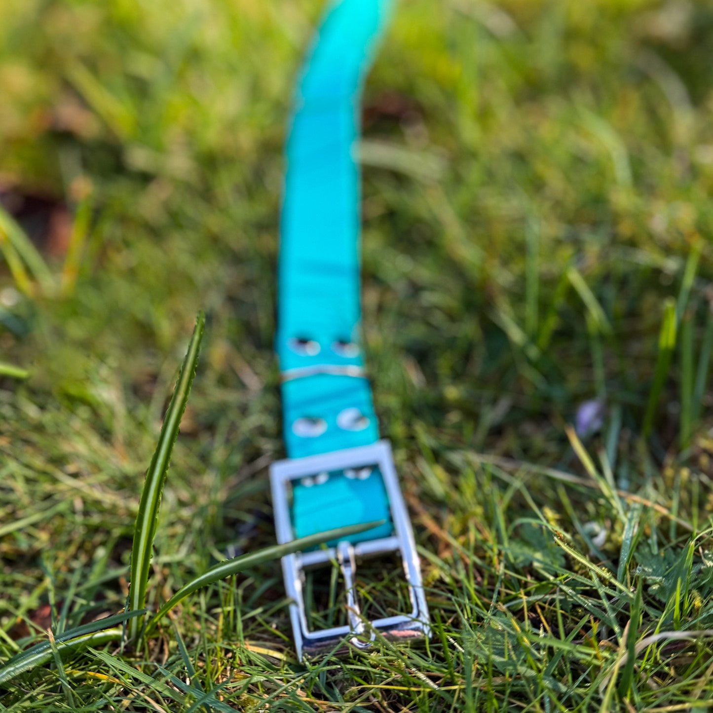 Teal Waterproof Dog Collar š©µš¢