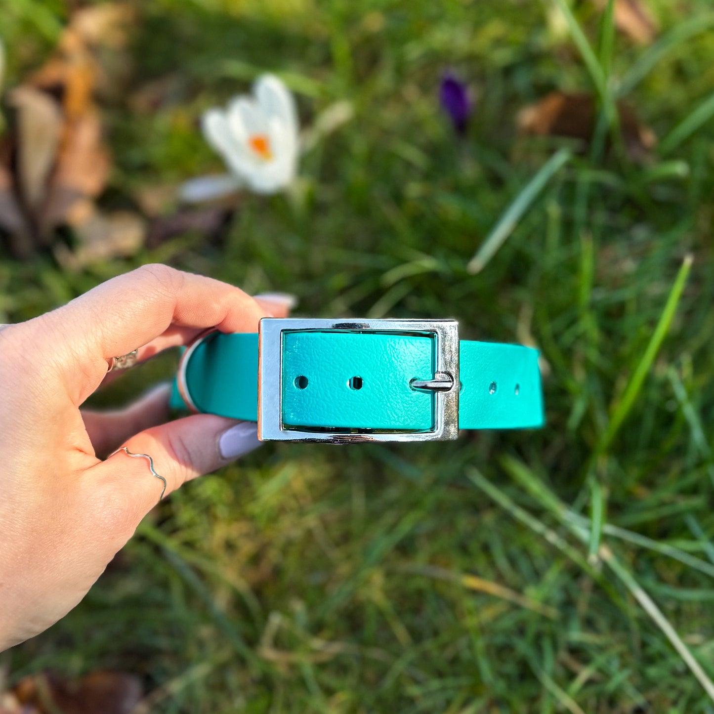 Teal Waterproof Dog Collar š©µš¢