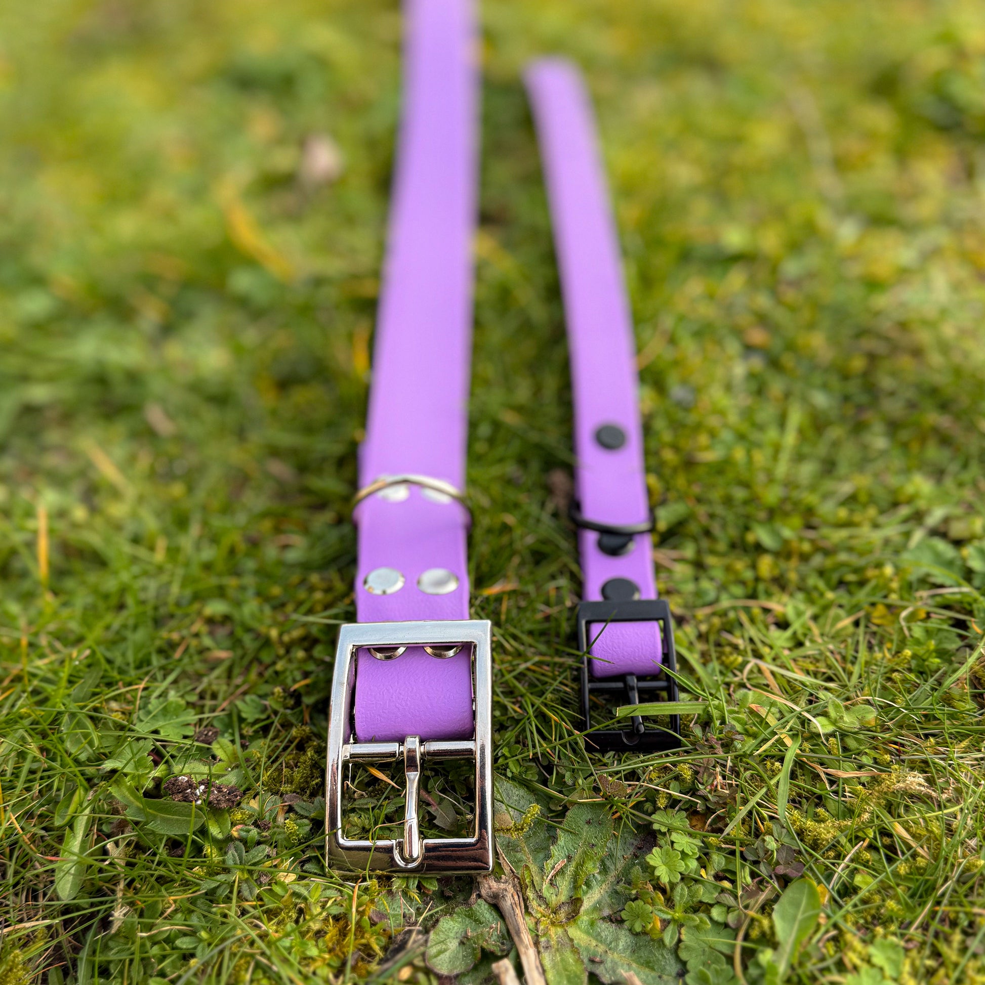 Large and small Violet Purple waterproof BioThane dog collar, with silver and black hardware