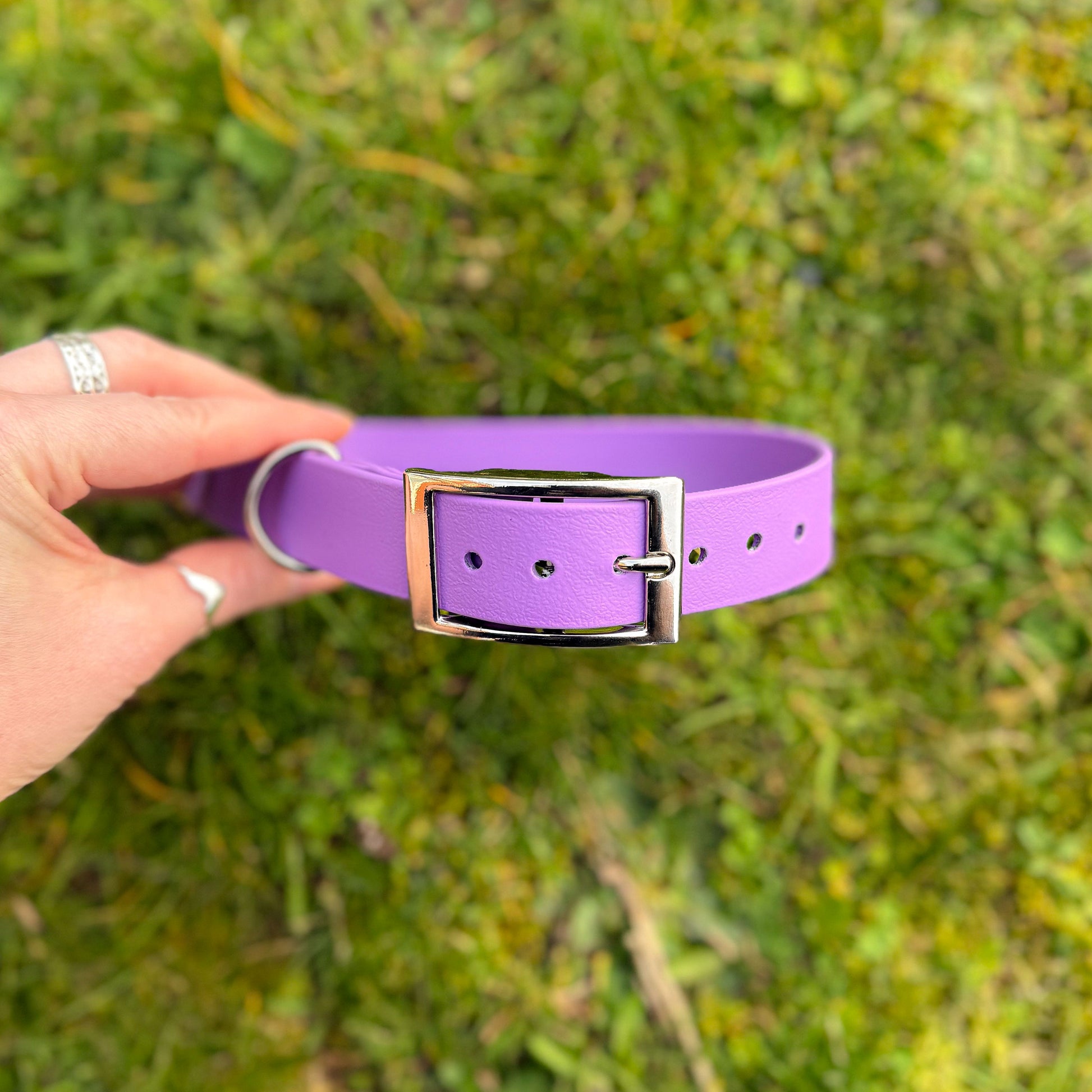 Violet Purple waterproof BioThane dog collar, with silver hardware in hand