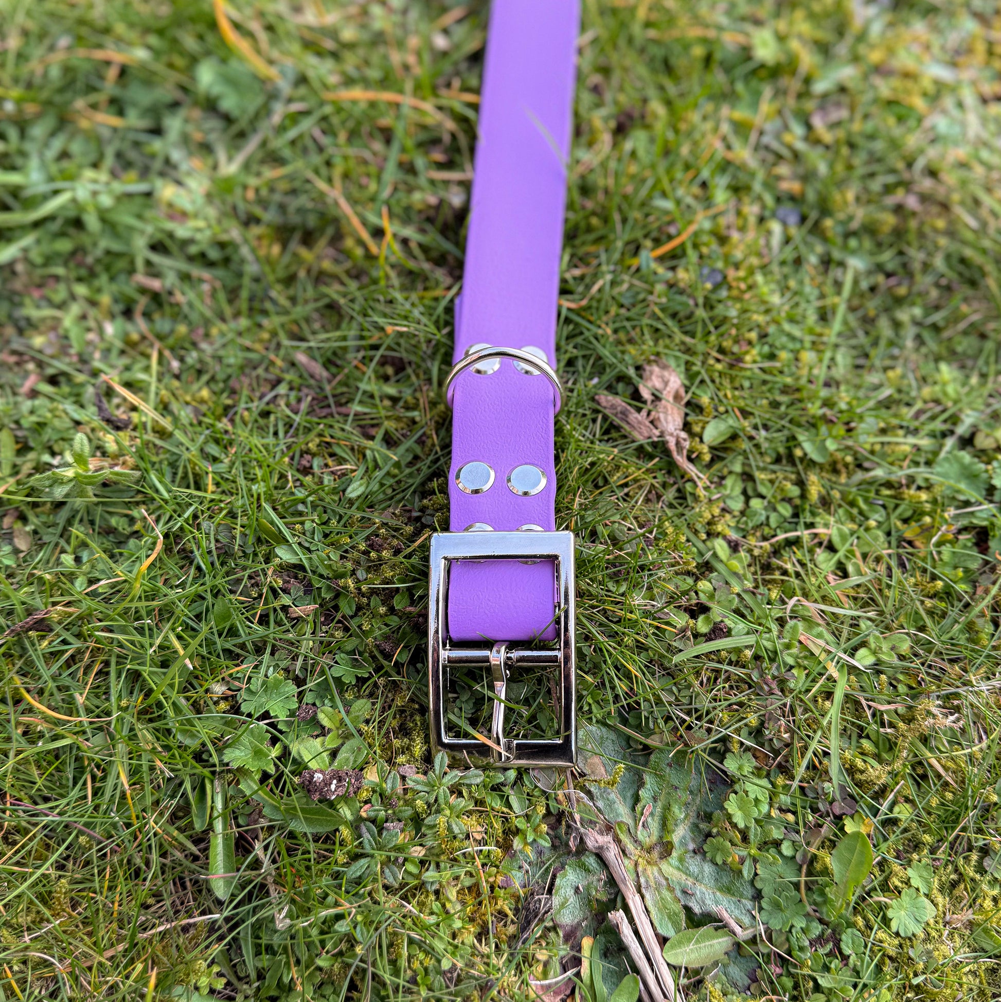 Close up of Violet Purple waterproof BioThane dog collar, with silver hardware