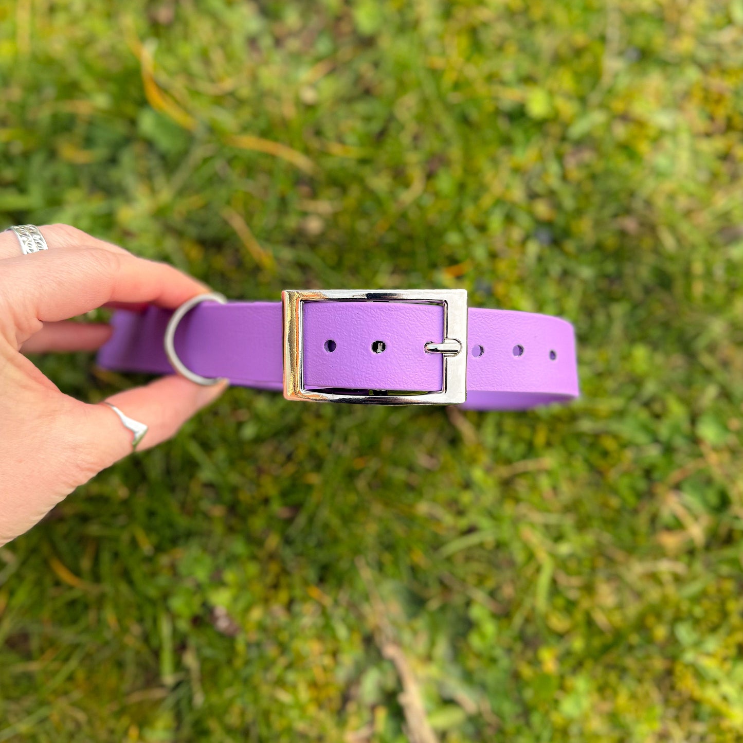 Violet Purple waterproof BioThane dog collar, with silver hardware
