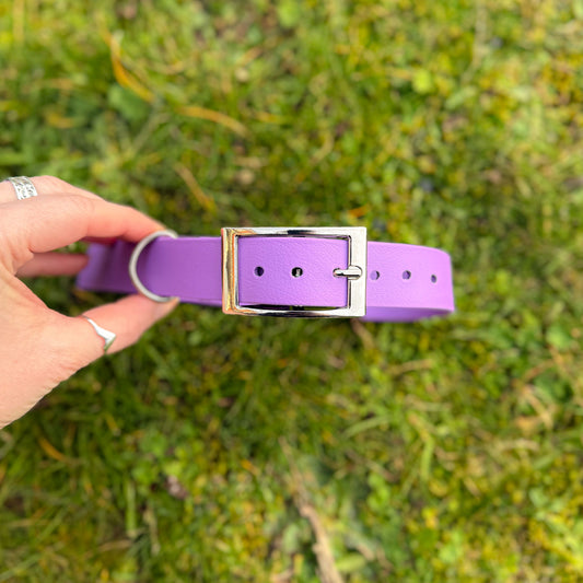Violet Purple waterproof BioThane dog collar, with silver hardware