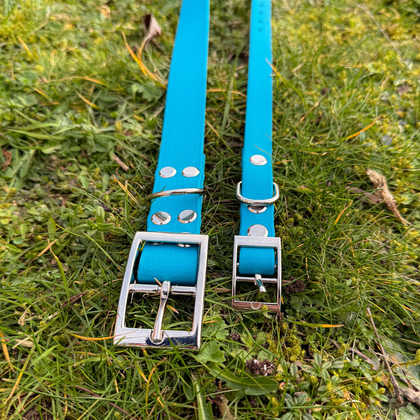 Large and small Kingfisher Blue waterproof BioThane dog collar, with silver hardware