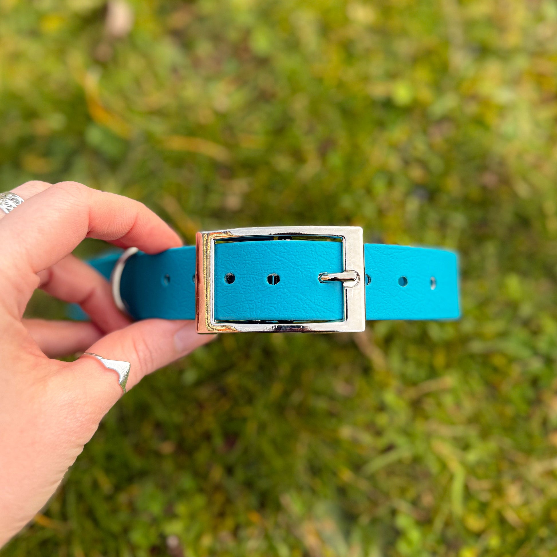 Kingfisher Blue waterproof BioThane dog collar, with silver hardware