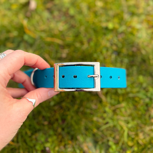 Kingfisher Blue waterproof BioThane dog collar, with silver hardware