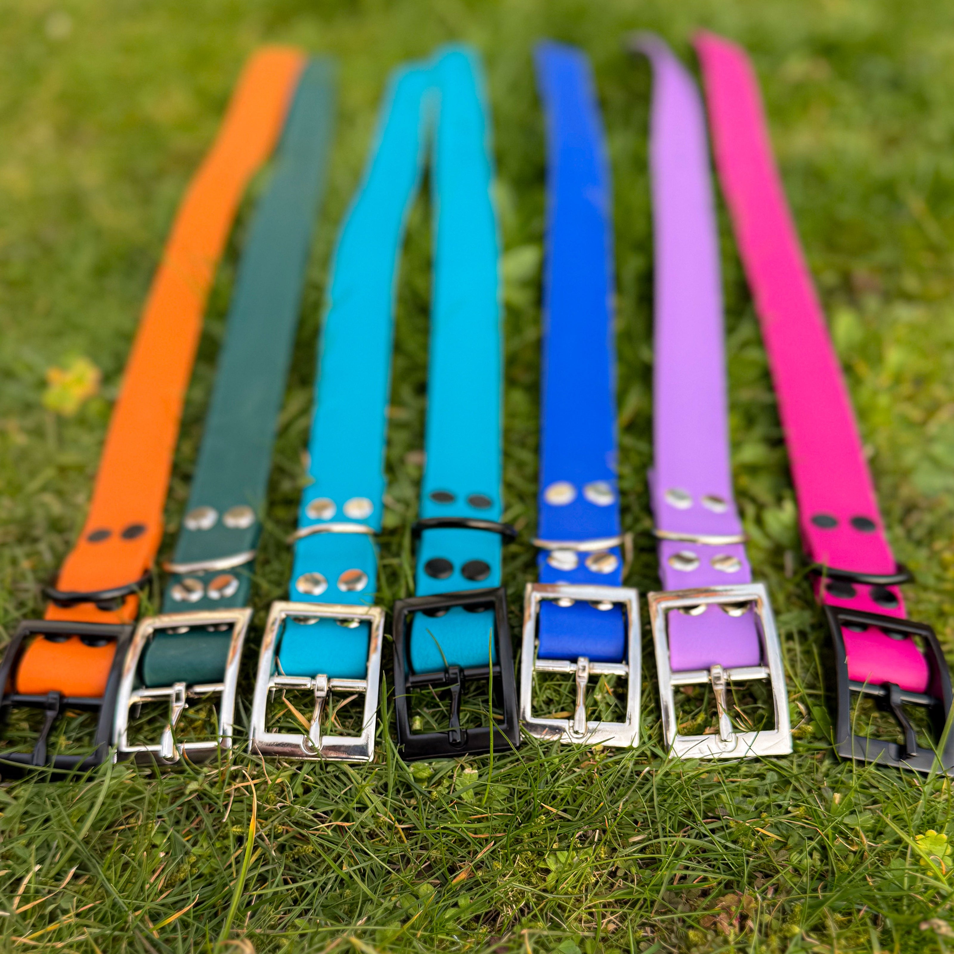 Colour Mix of BioThane dog collars