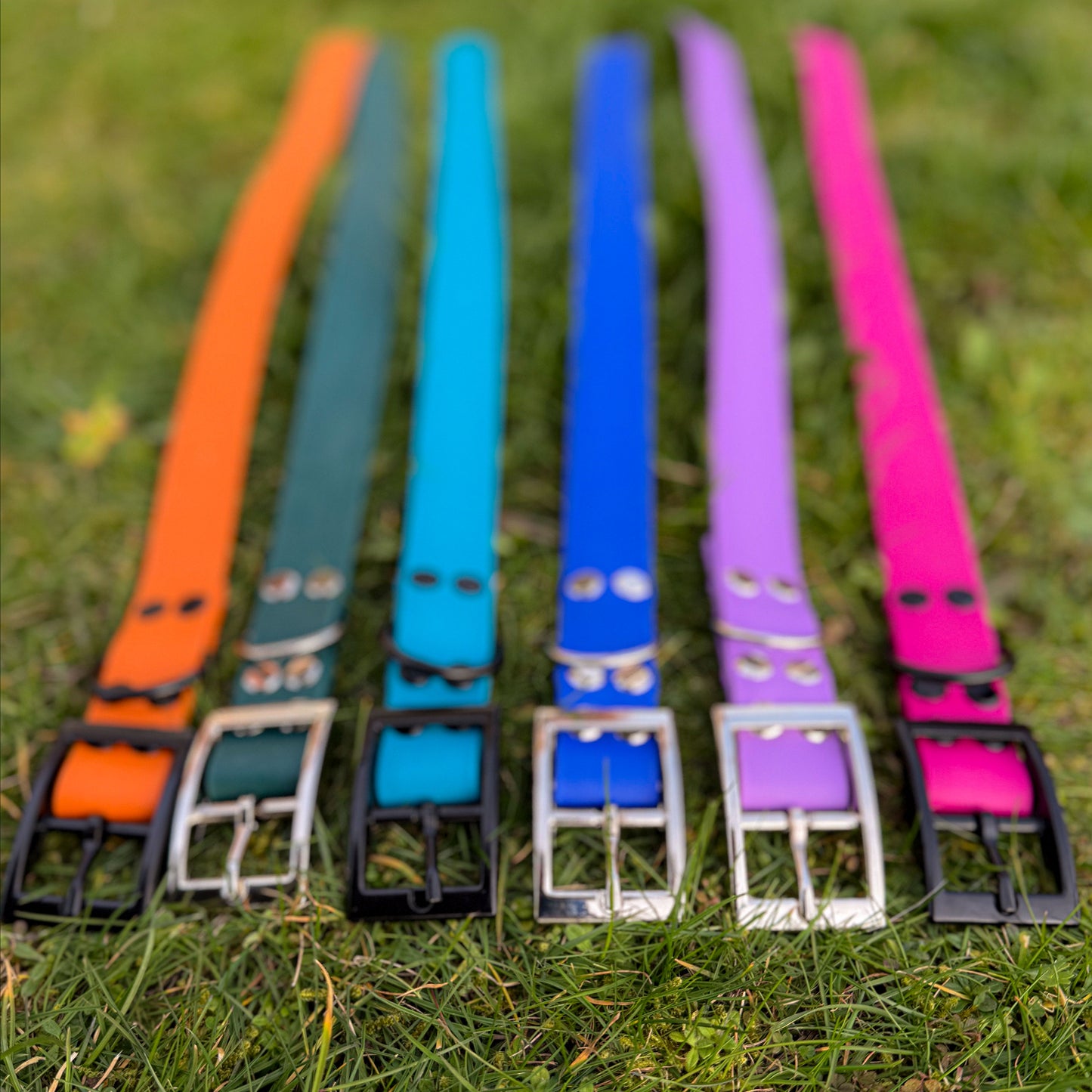 Orange, green, blue, purple and pink waterproof BioThane dog collars