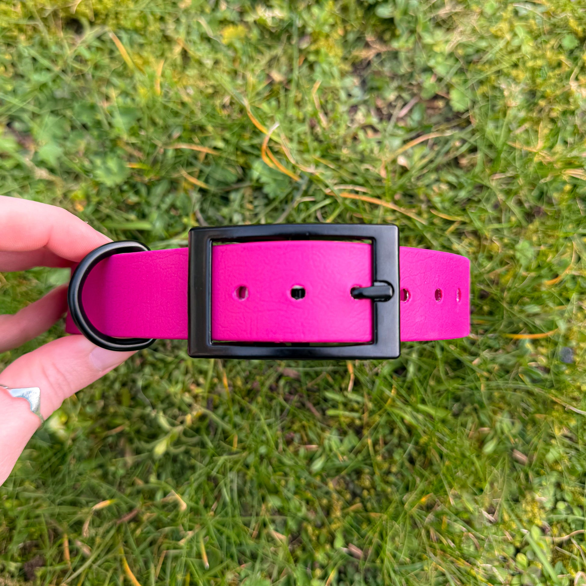 Magenta Pink waterproof BioThane dog collar, with black hardware
