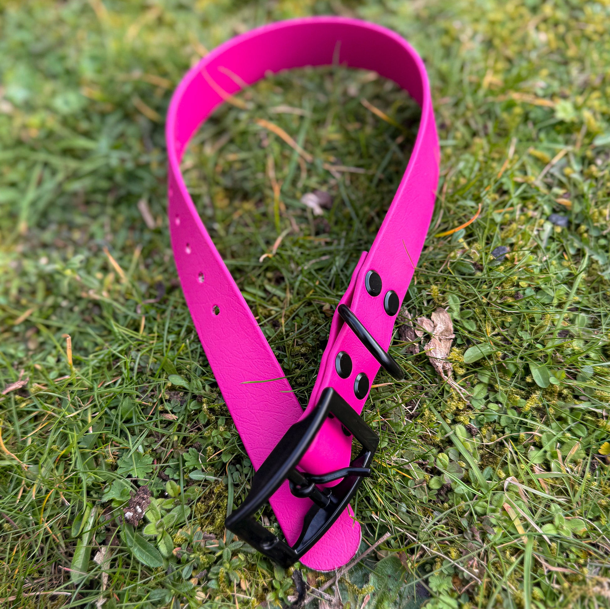 Looped Magenta Pink waterproof BioThane dog collar, with black hardware
