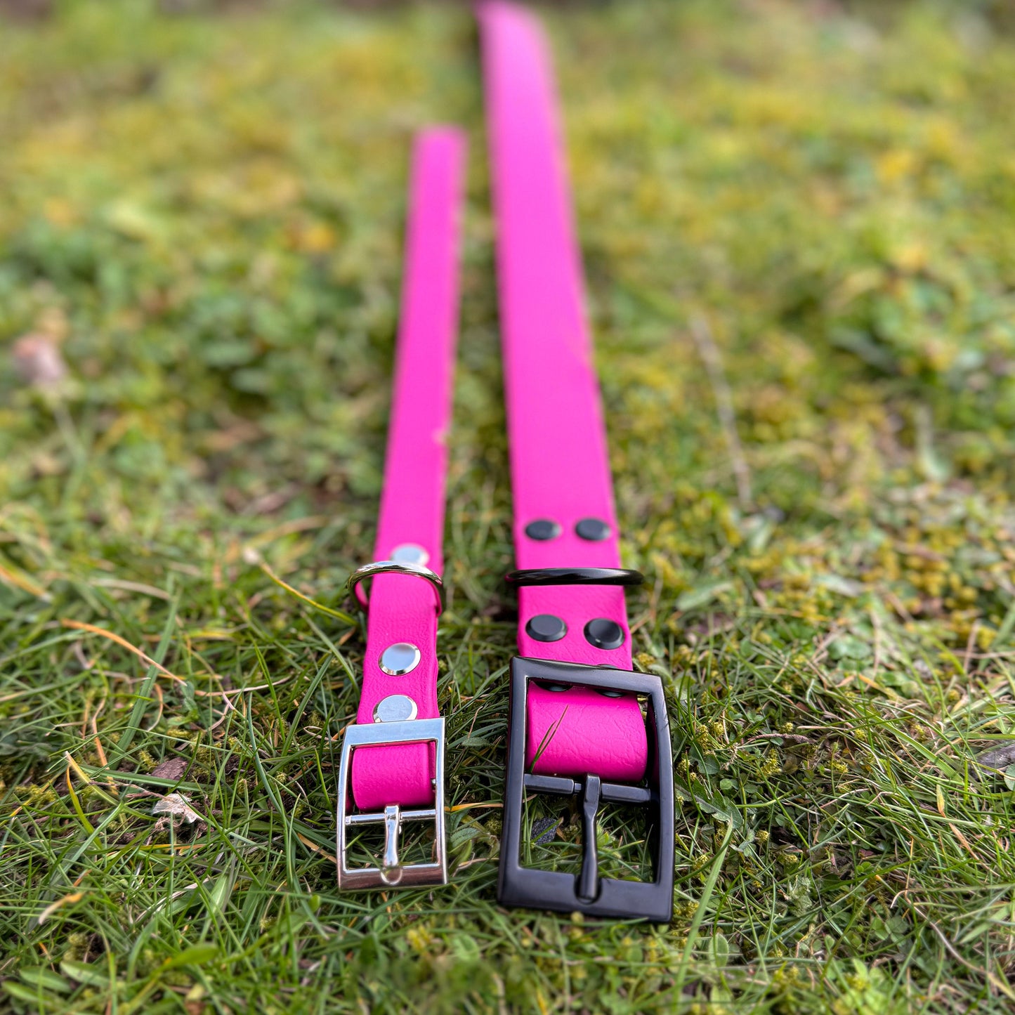 Small and Large Magenta Pink waterproof BioThane dog collar
