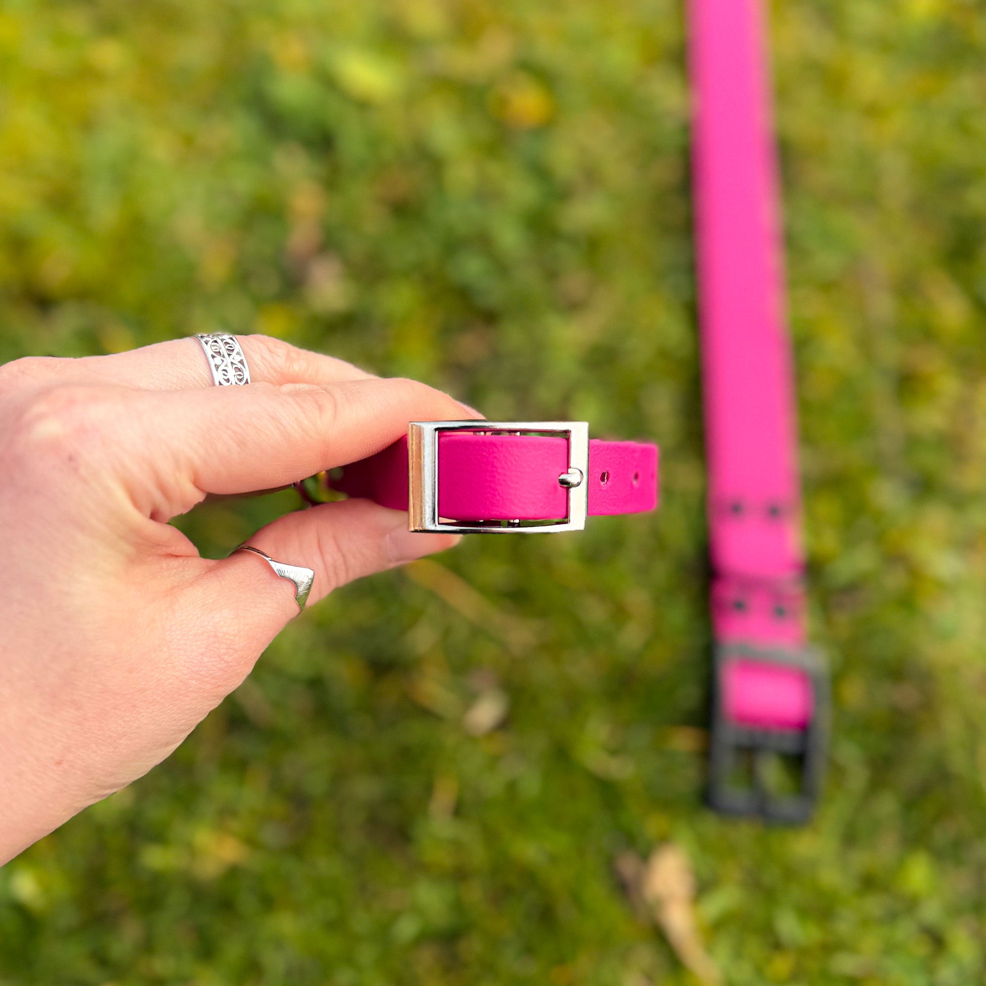 Little and Large Magenta Pink waterproof BioThane dog collar, with silver and black hardware