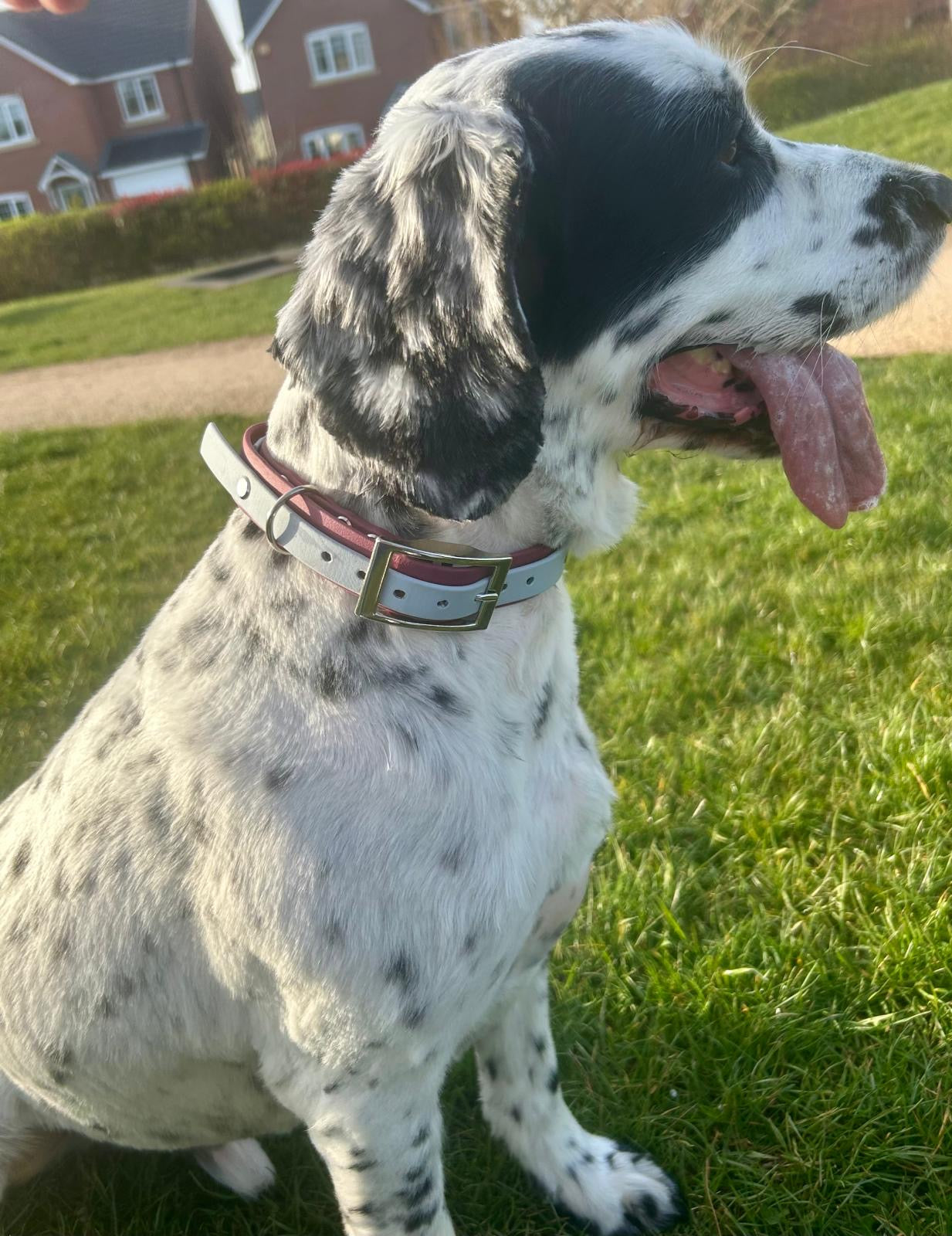 Custom additional colour