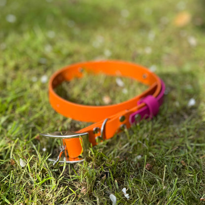 Sunset Sorbet Waterproof Dog Collar