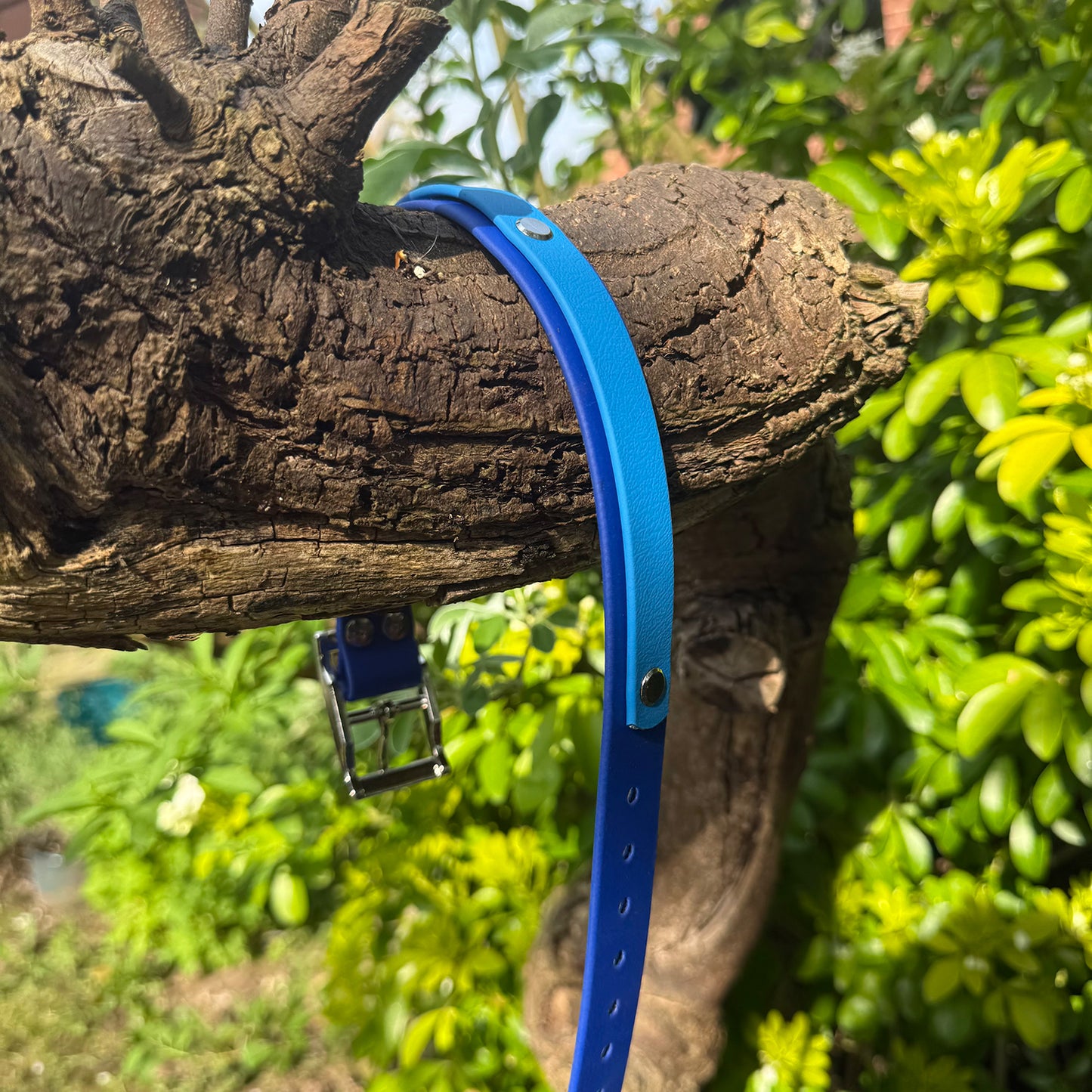 Sea Breeze Waterproof Dog Collar