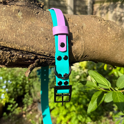 Violet Skies Waterproof Dog Collar