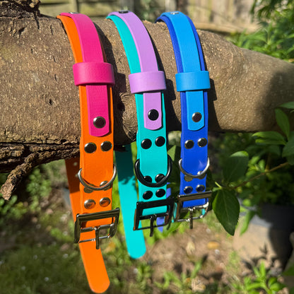 Violet Skies Waterproof Dog Collar