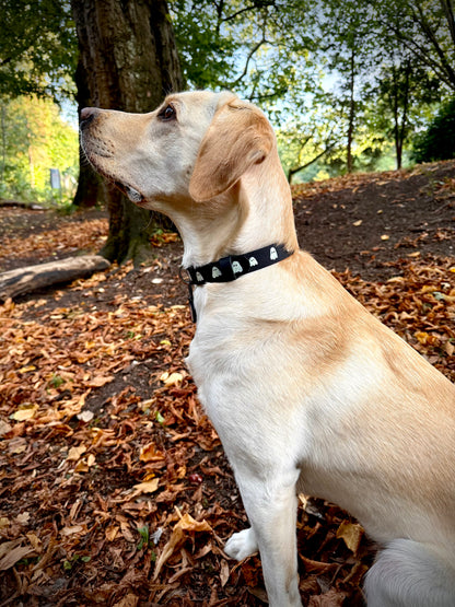 Howl-o-Ween Glow 👻 Glow-in-the-dark dog collar