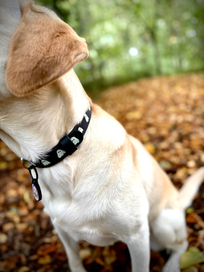 Howl-o-Ween Glow 👻 Glow-in-the-dark dog collar